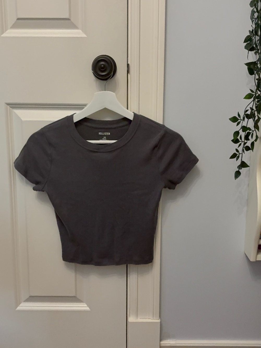 Hollister Short Crew Baby Tee